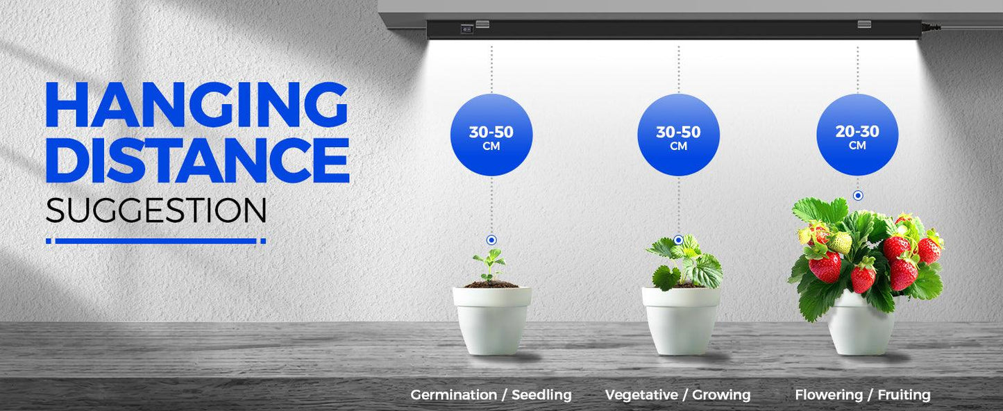 Barrina T5 Magnetic LED Grow Light 5000k Plant Lamp - The Alocasia Company