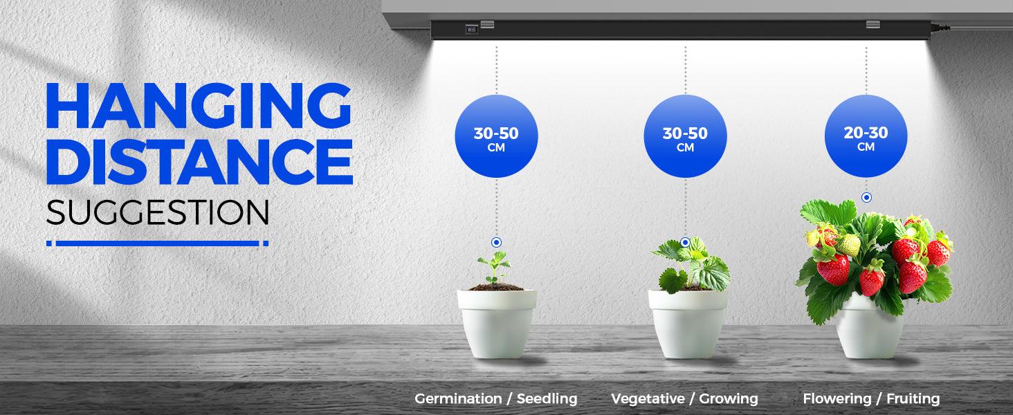 Barrina T5 Magnetic LED Grow Light 5000k Plant Lamp - The Alocasia Company