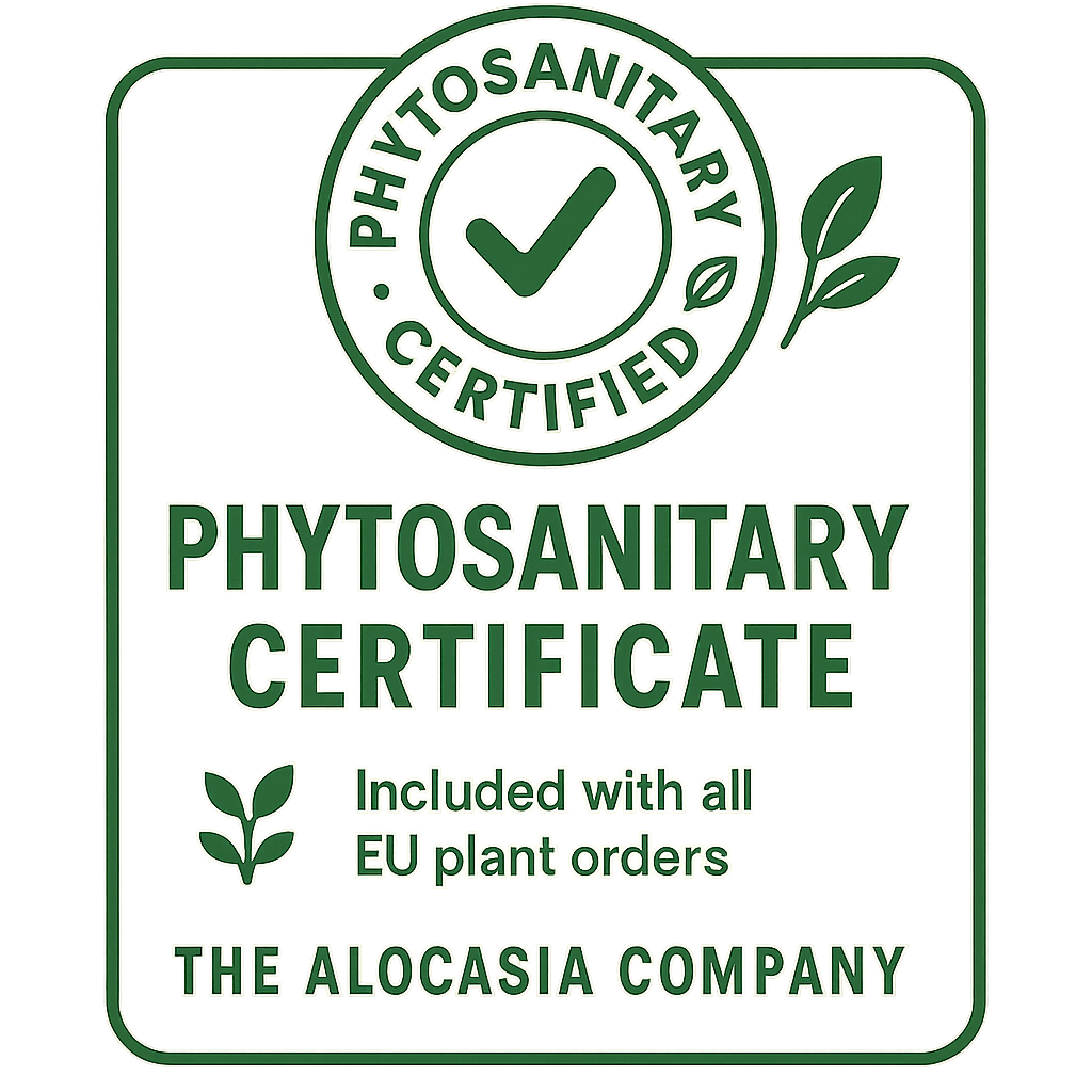 Phytosanitary Certificate