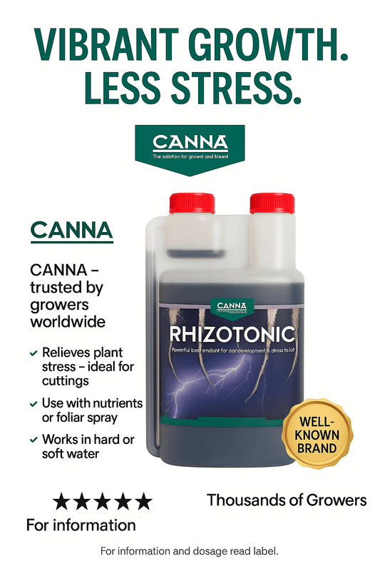 Canna Rhizotonic - The Alocasia Company