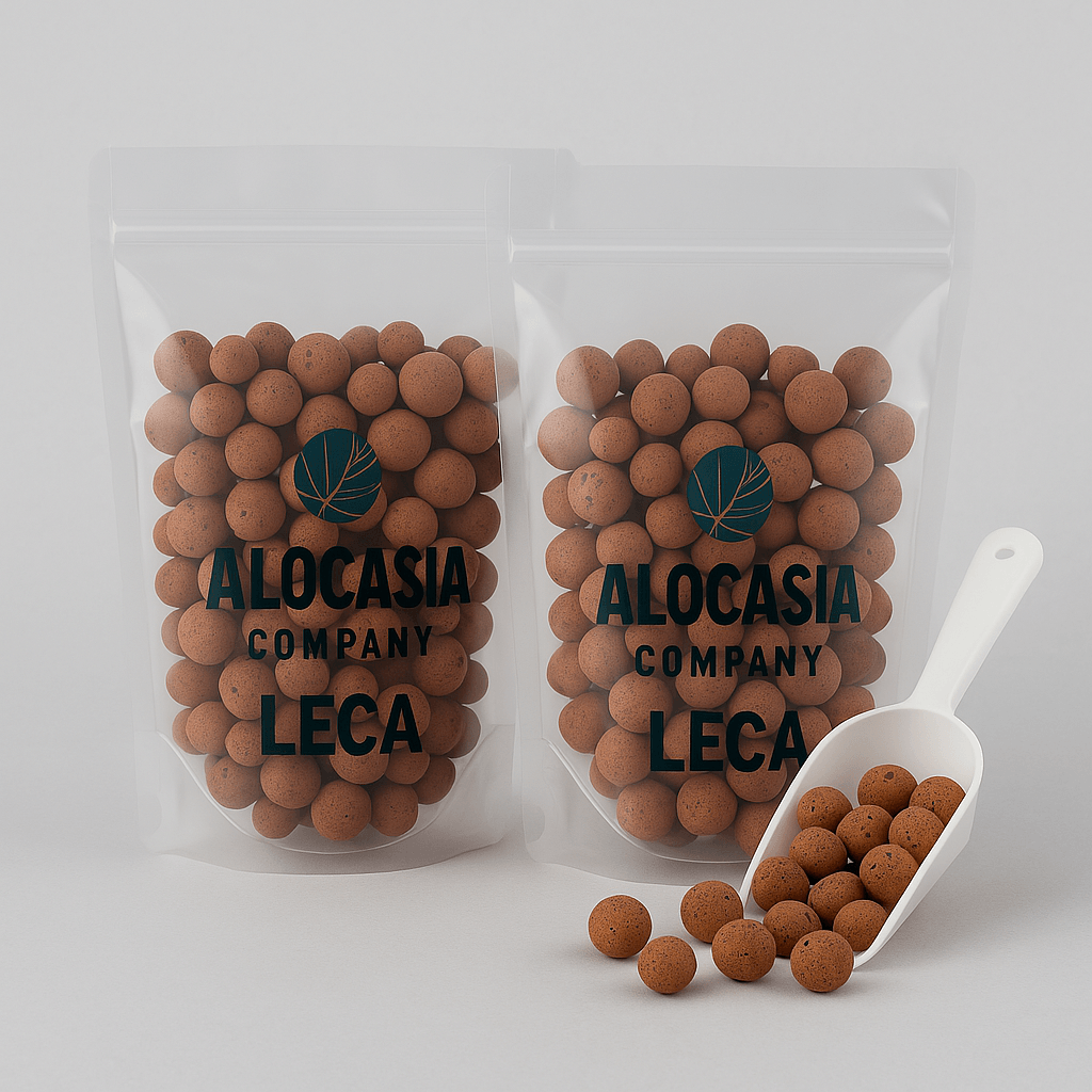 LECA clay pebbles used as a potting mix substrate for houseplants