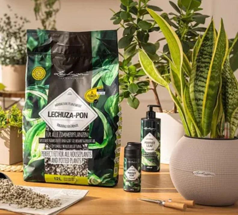 Why Lechuza Pon is the ideal mineral potting mix for houseplants - The Alocasia Company