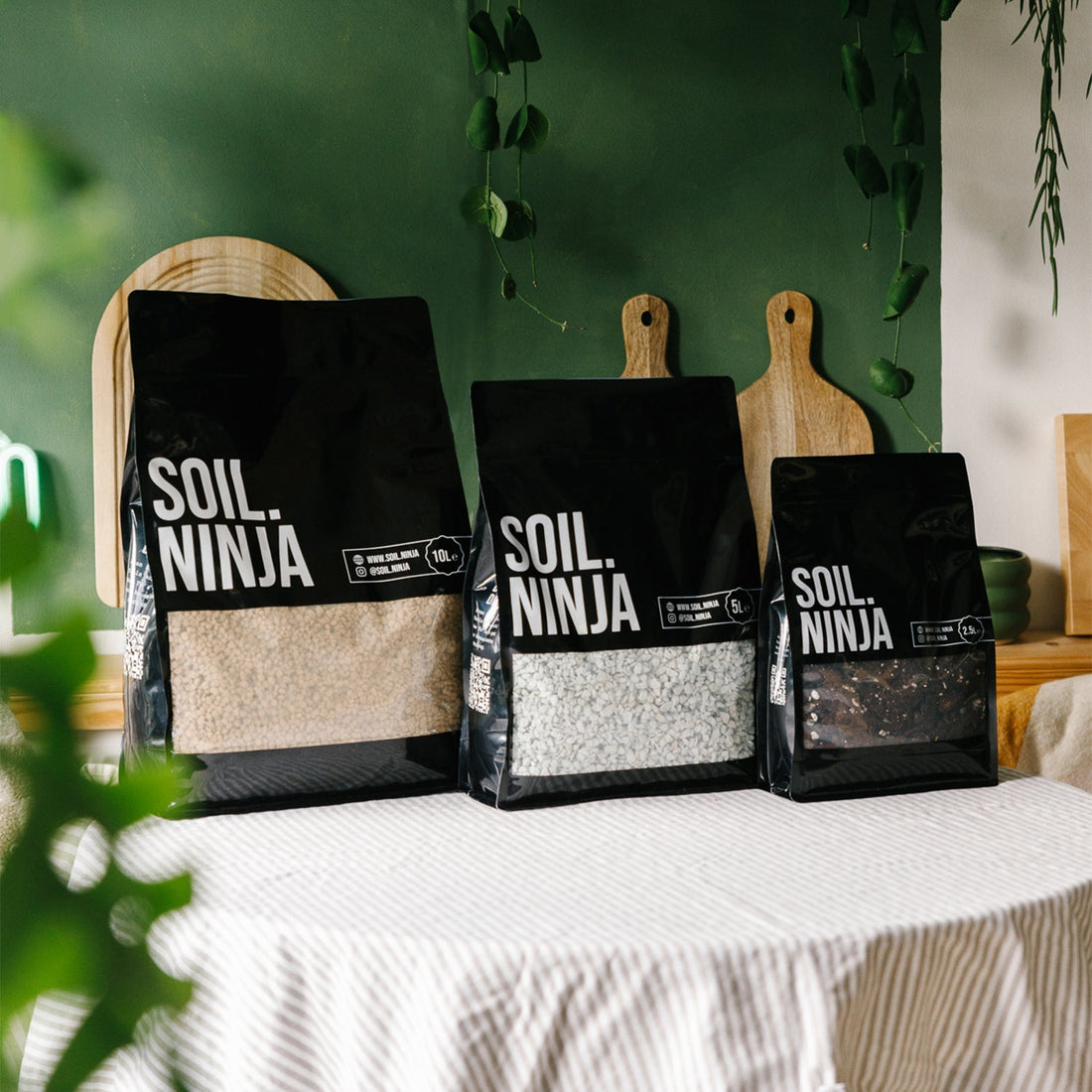 The Best Substrate for Rare Alocasia: Our Custom Mix Using Soil Ninja Components
