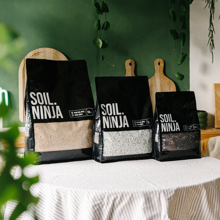 A custom Alocasia substrate mix blended from Soil Ninja components