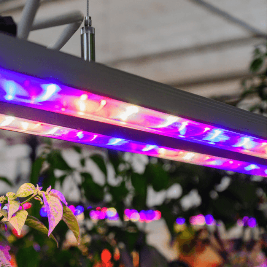 Grow lights