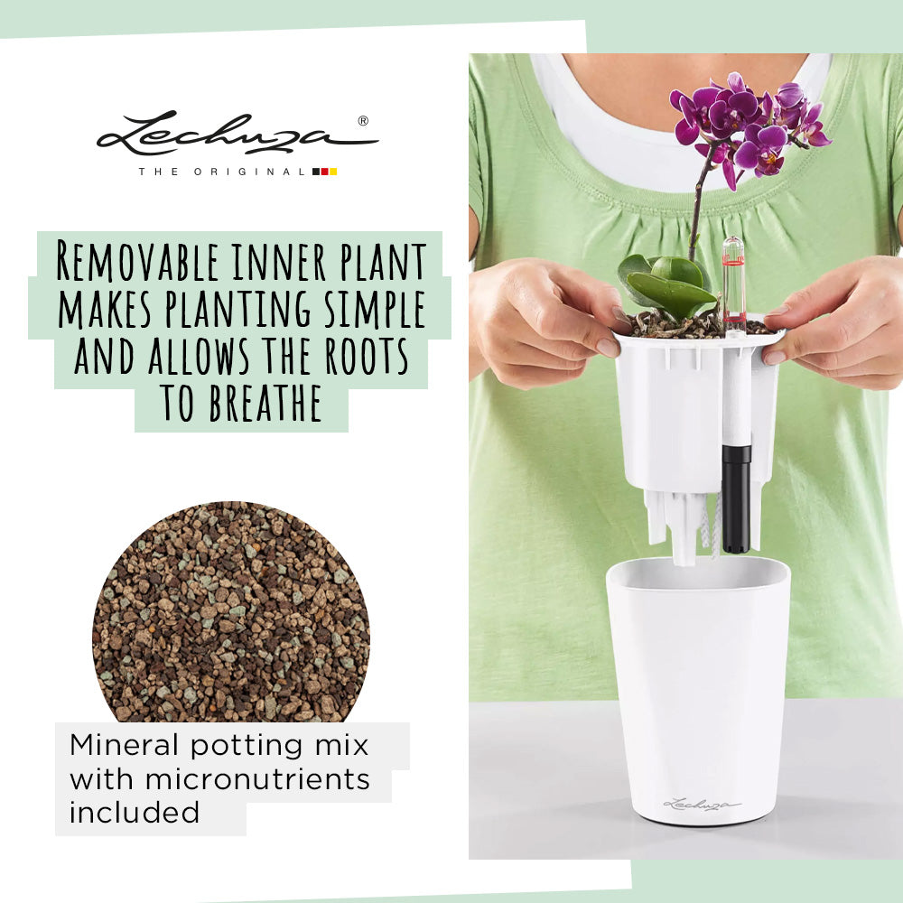 LECHUZA Mini Deltini, a small self-watering planter with water level indicator and 0.4L reservoir