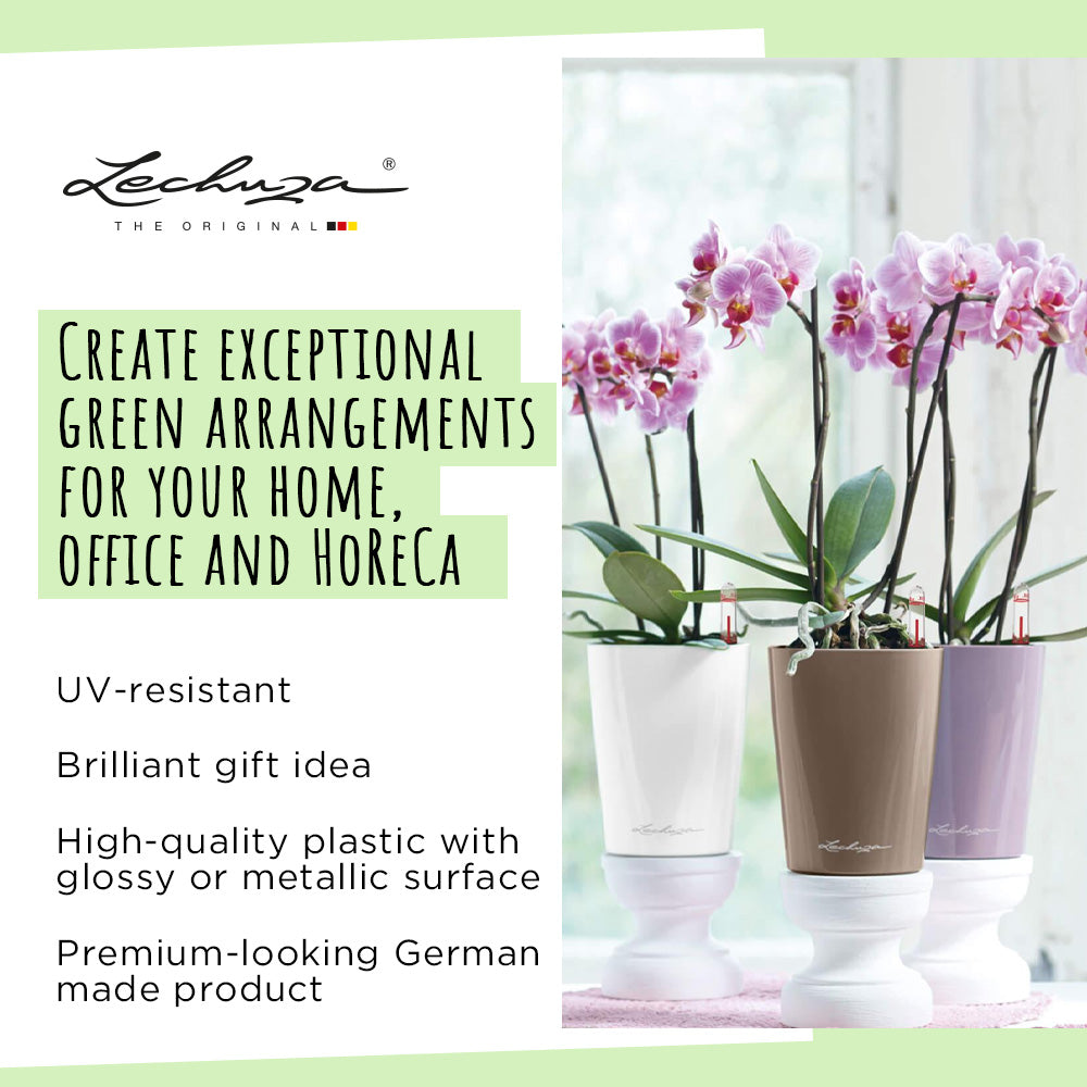 LECHUZA Mini Deltini, a small self-watering planter with water level indicator and 0.4L reservoir