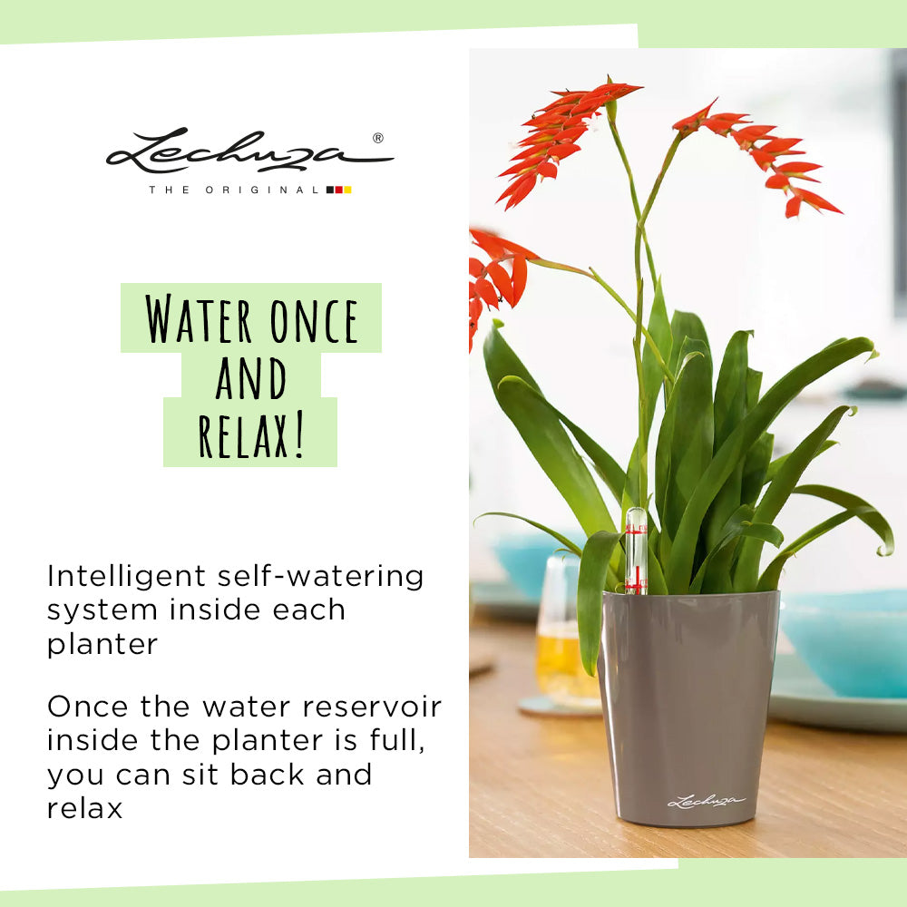 LECHUZA Mini Deltini, a small self-watering planter with water level indicator and 0.4L reservoir