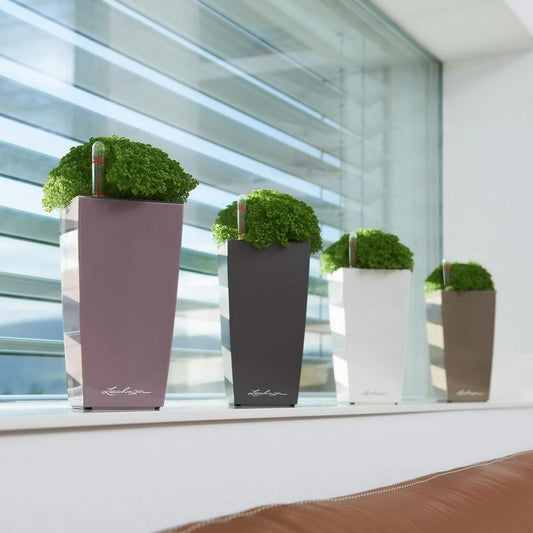 LECHUZA MINI CUBI Self-watering Planter