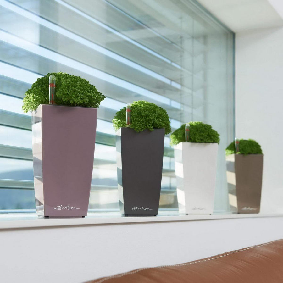 LECHUZA MINI CUBI SELF WATERING PLANTER