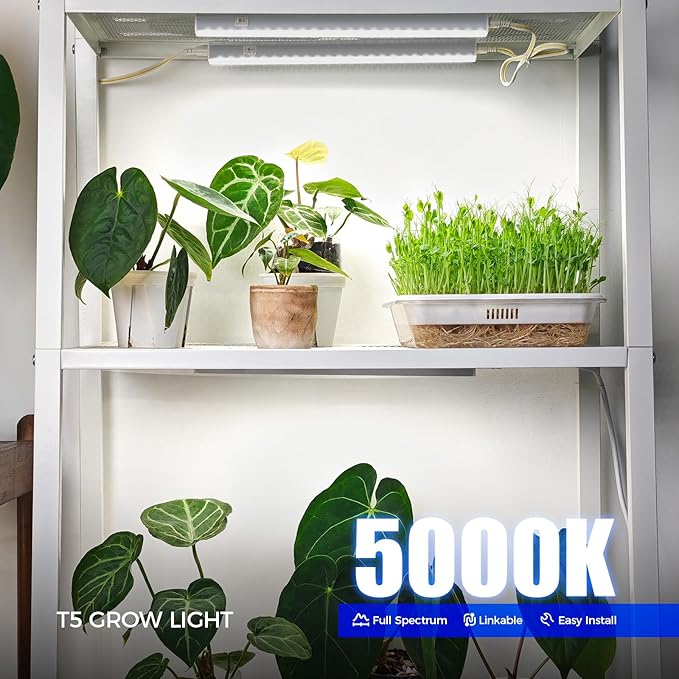 Barrina T5 1ft LED Grow Light, a 20W full-spectrum 5000K plant lamp with 96 LEDs