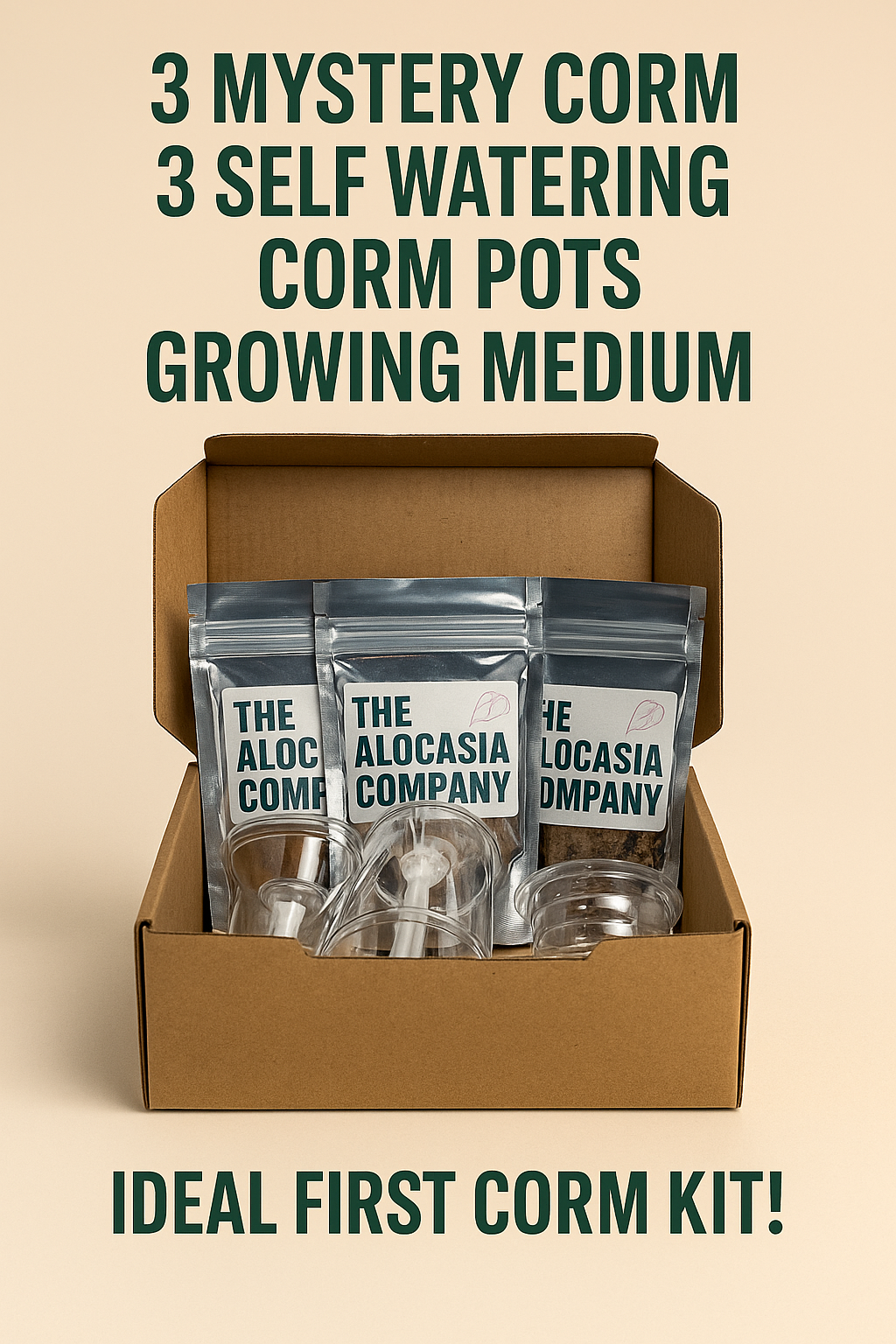 Alocasia Corm Starter Kit, mystery corms with self-watering pots, humidity domes and Stratum medium