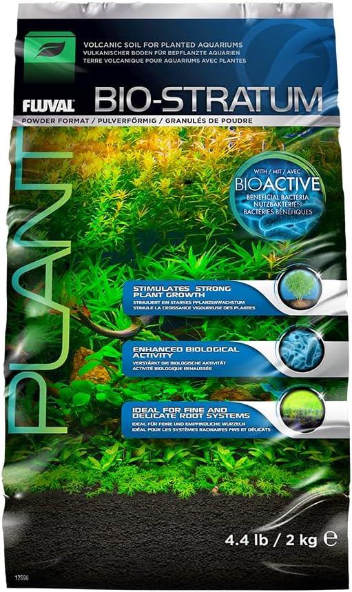 Fluval Stratum - The Alocasia Company