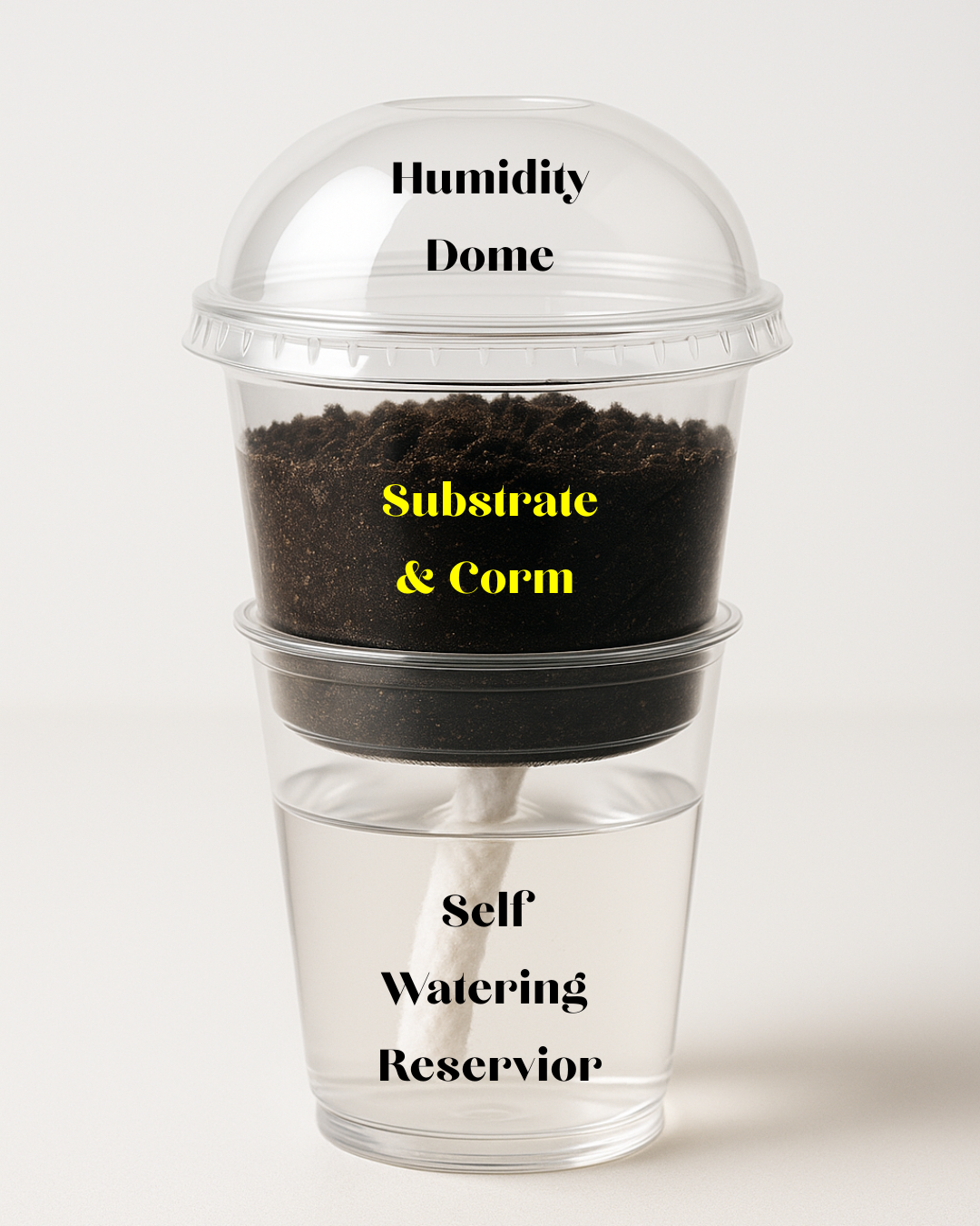 Self Watering Corm Pots With Humidity Dome