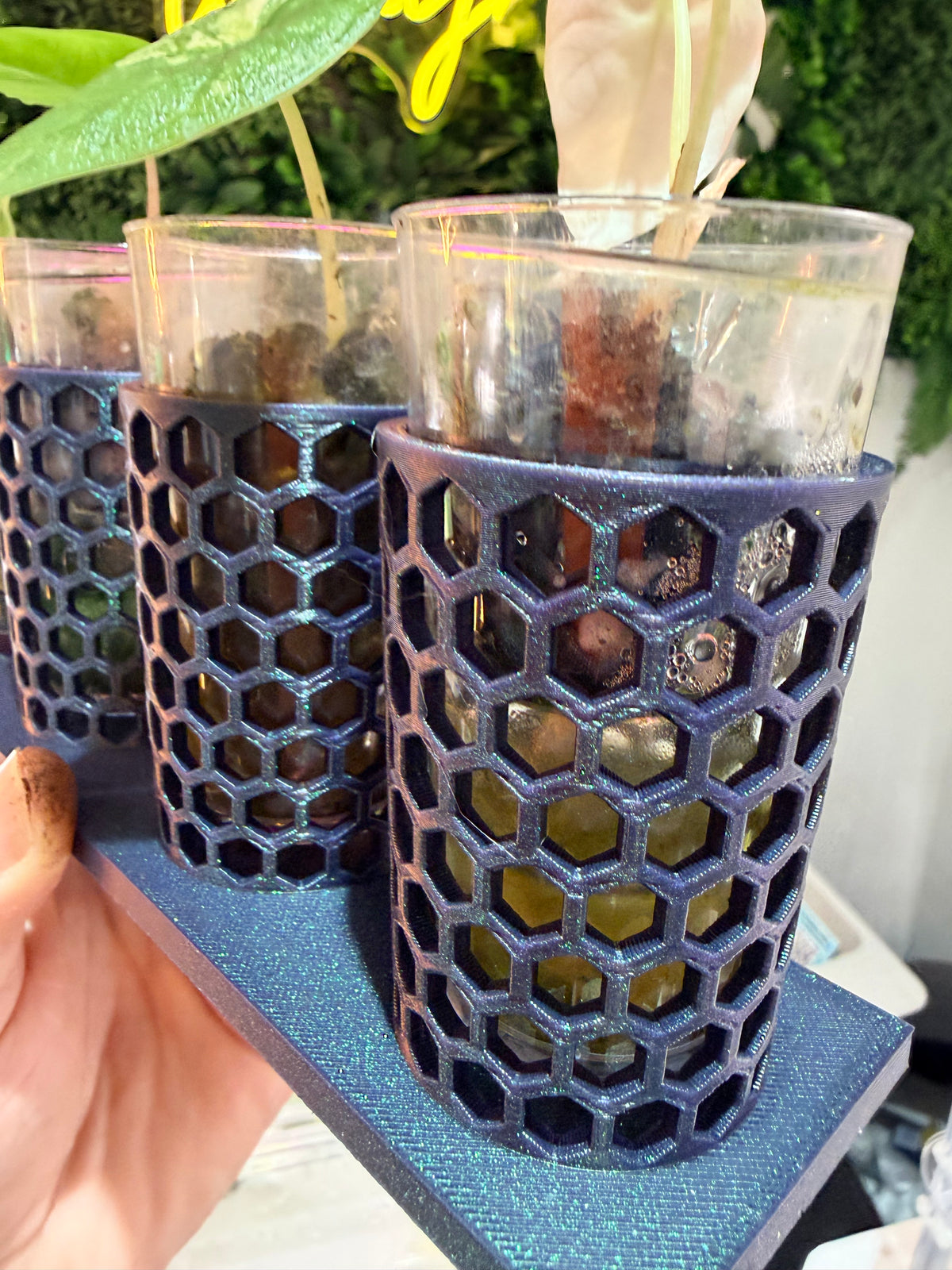 Corm Keeper, a 3D-printed rack holding four corm propagation pots stable and upright