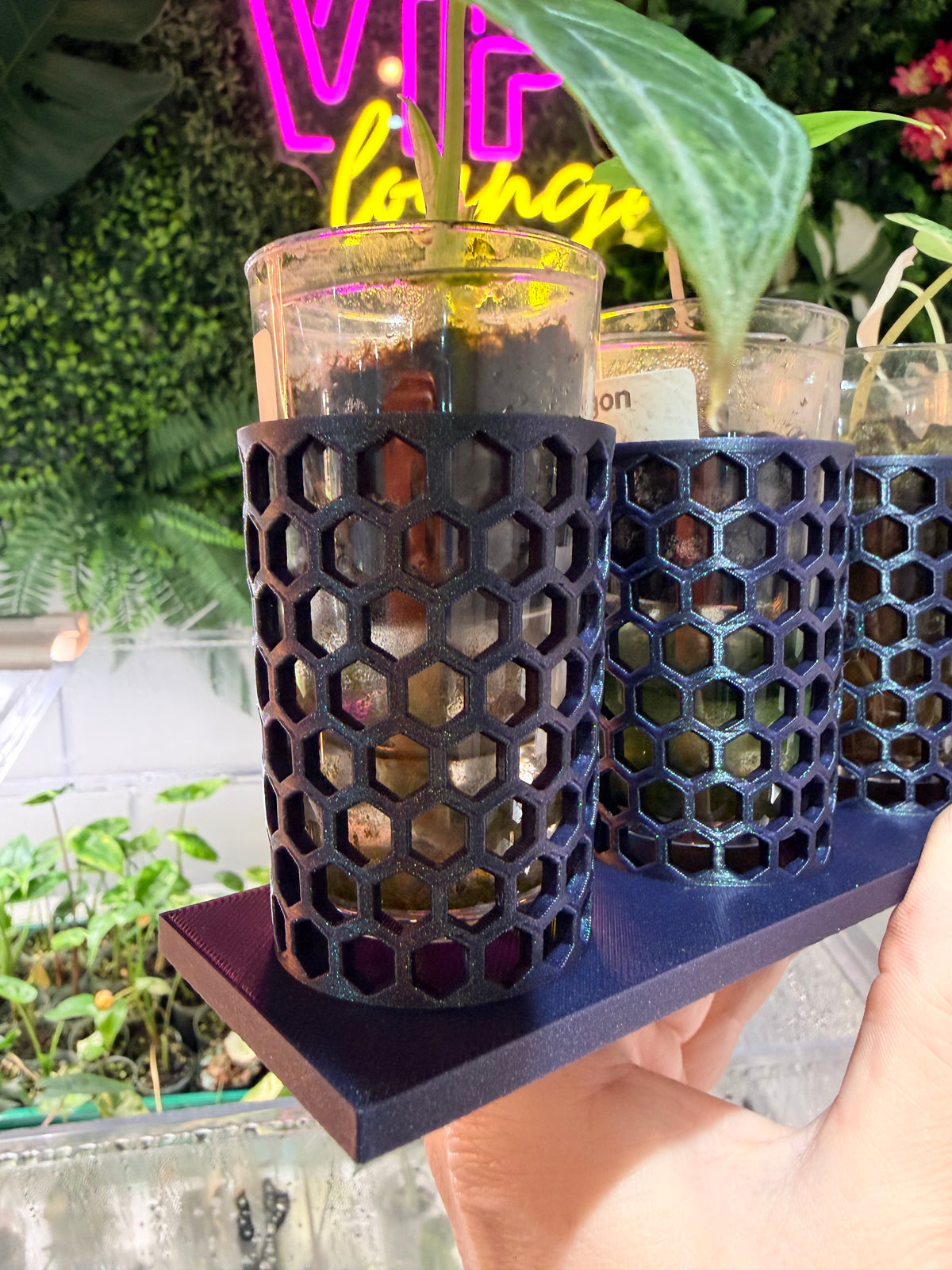 Corm Keeper, a 3D-printed rack holding four corm propagation pots stable and upright