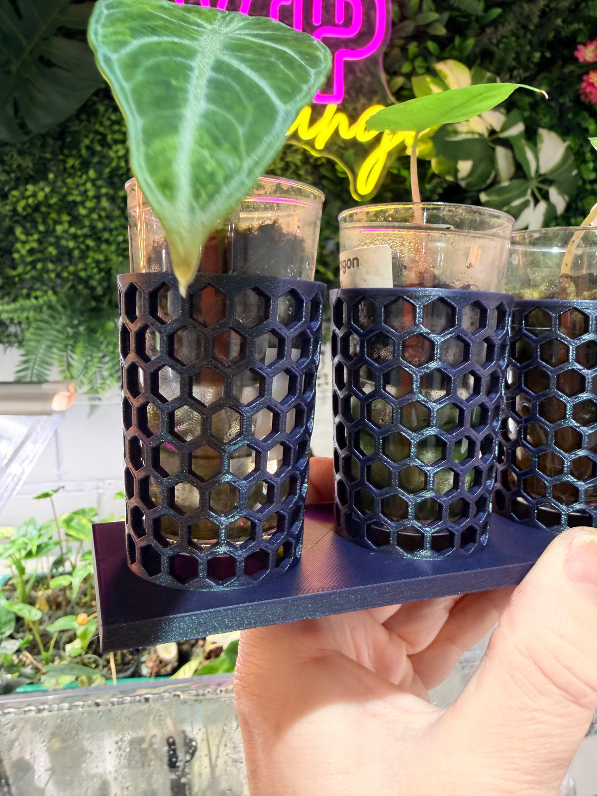 Corm Keeper, a 3D-printed rack holding four corm propagation pots stable and upright