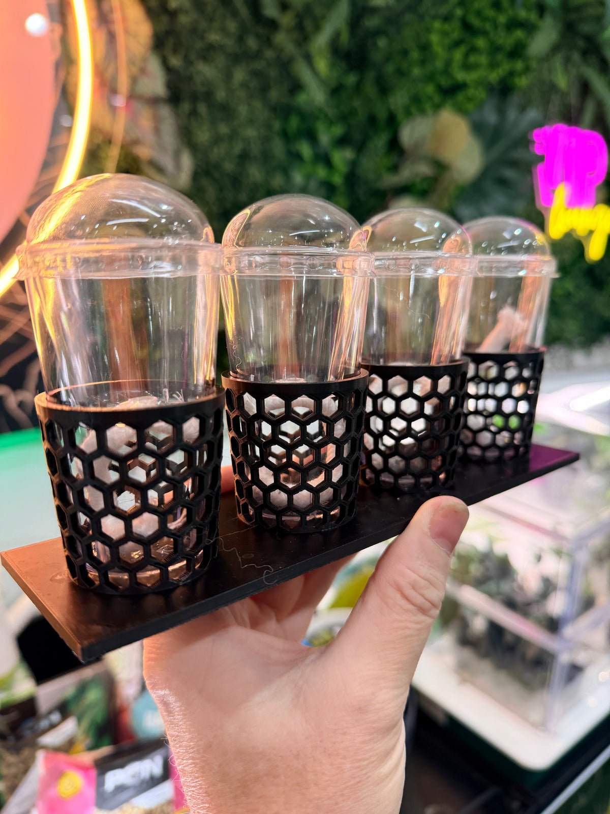 Corm Keeper, a 3D-printed rack holding four corm propagation pots stable and upright