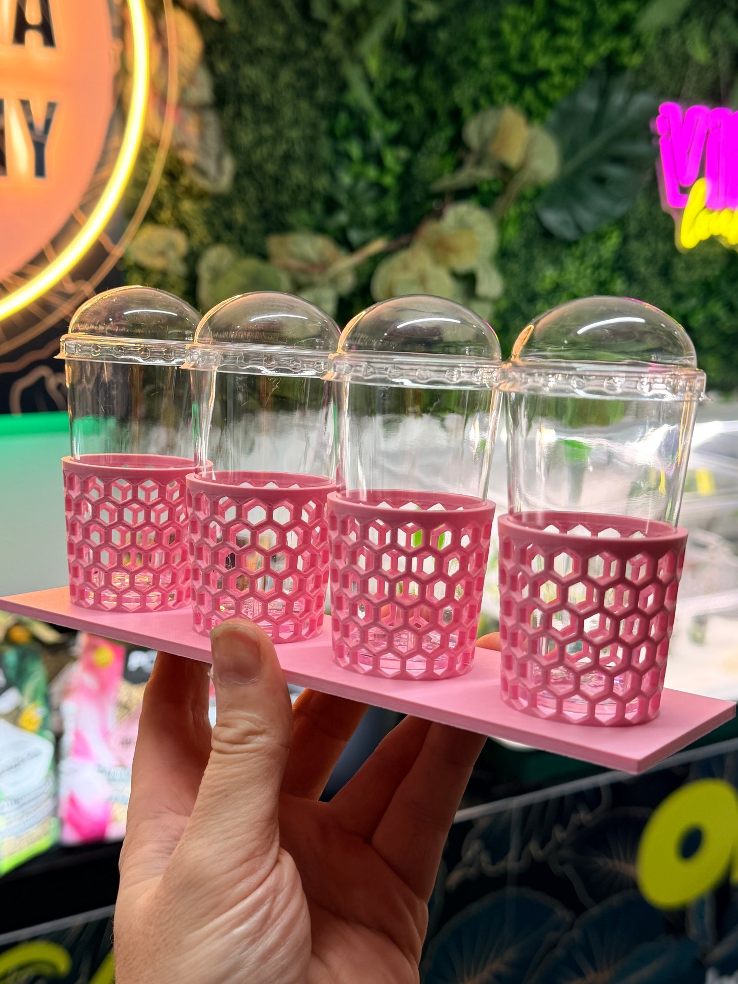 Corm Keeper 3D Printed Plant Display Rack