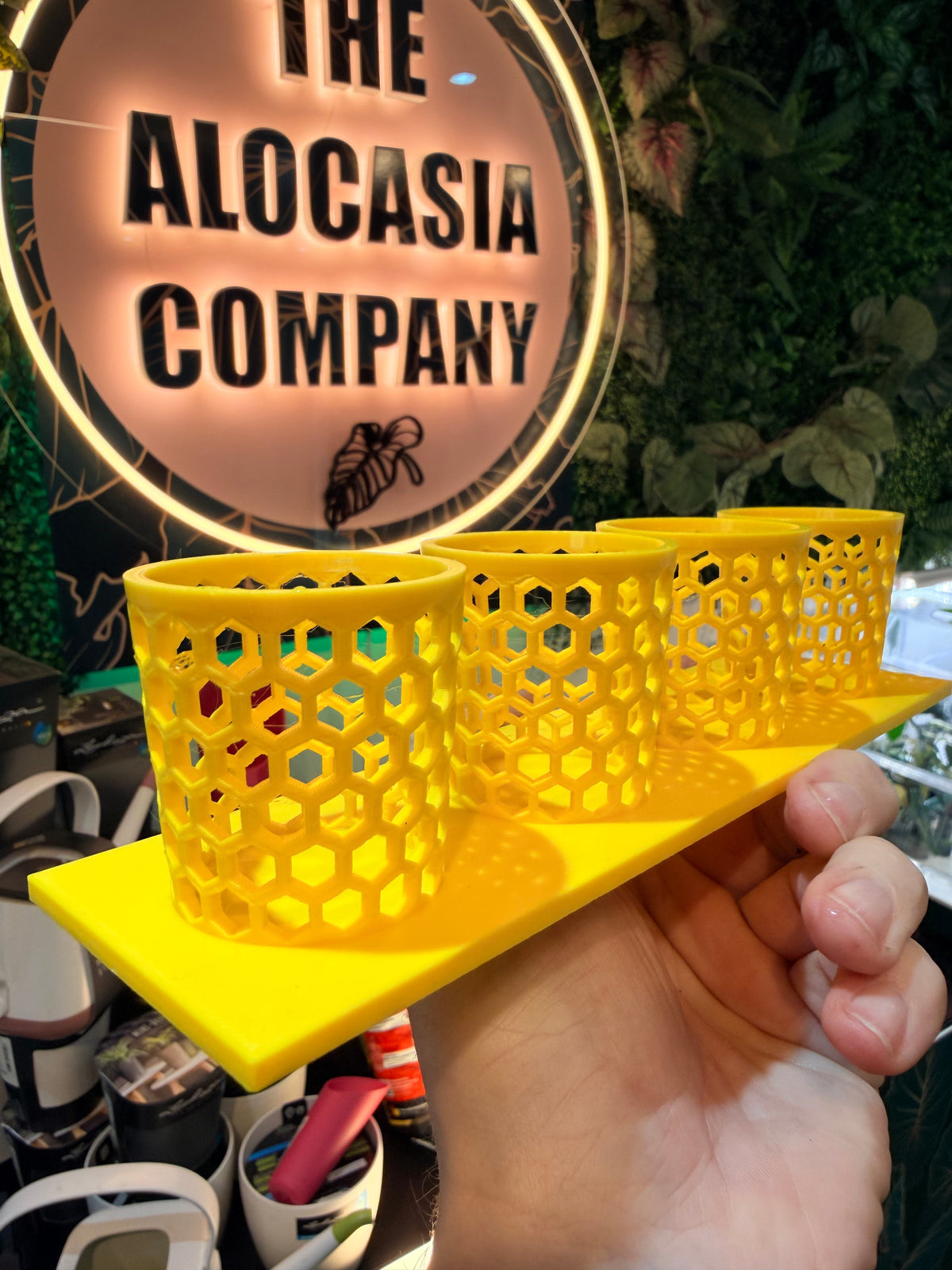 Corm Keeper, a 3D-printed rack holding four corm propagation pots stable and upright