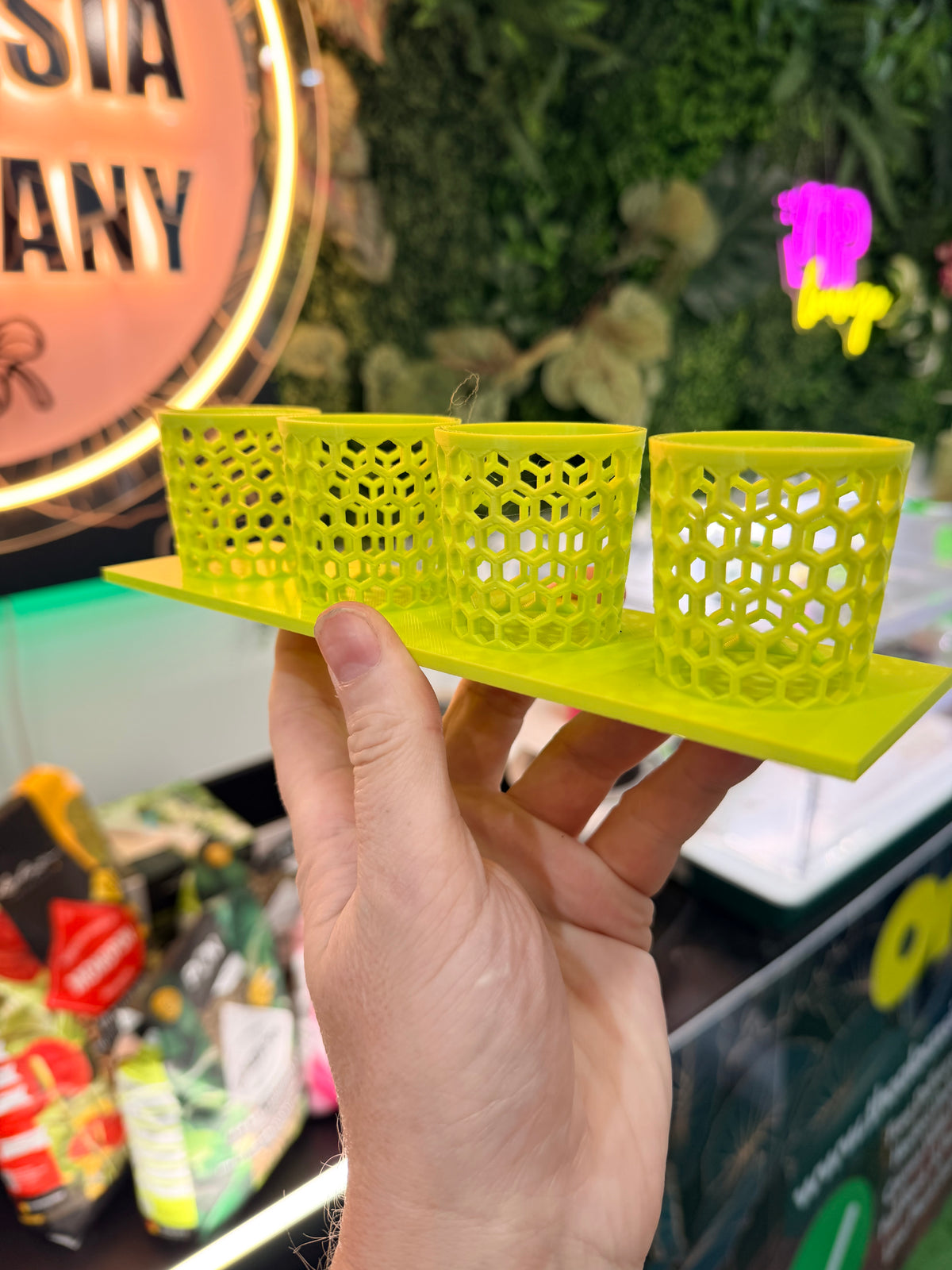 Corm Keeper, a 3D-printed rack holding four corm propagation pots stable and upright