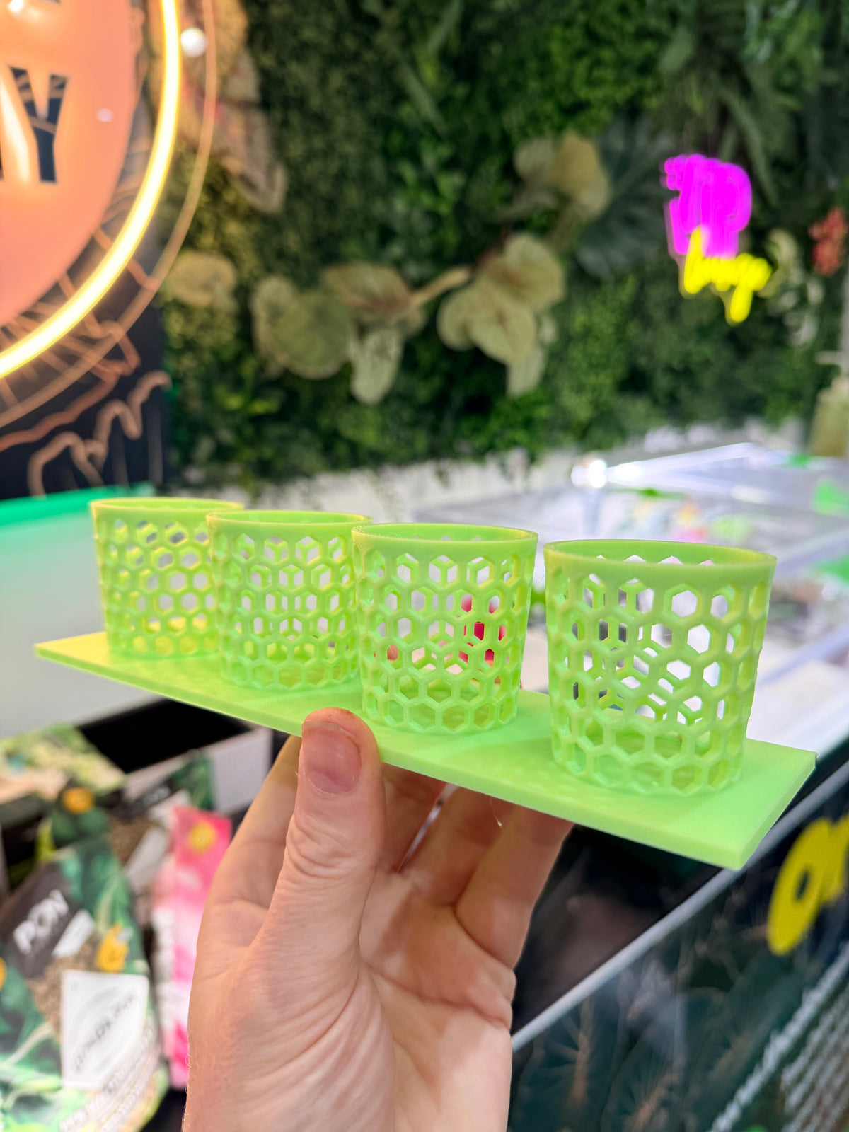 Corm Keeper, a 3D-printed rack holding four corm propagation pots stable and upright