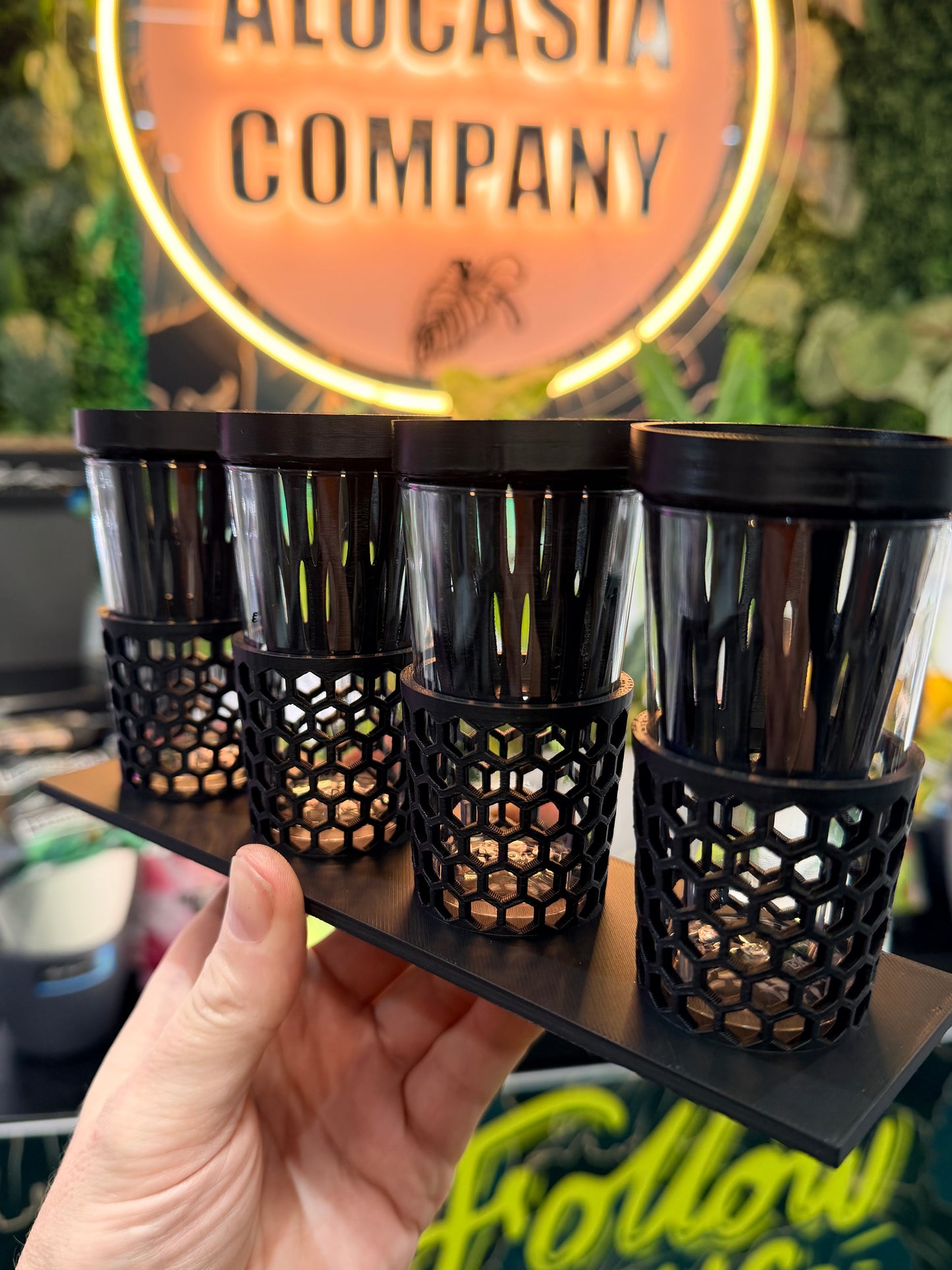 Corm Keeper 3D Printed Plant Display Rack
