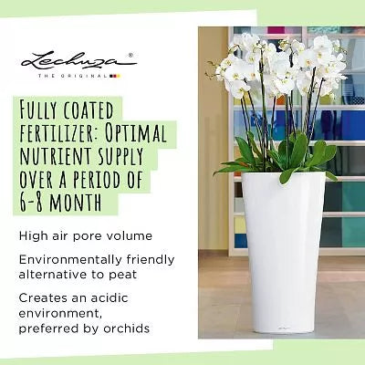 Lechuza Orchidpon, a peat-free 3 litre orchid mix with open drainage and root aeration