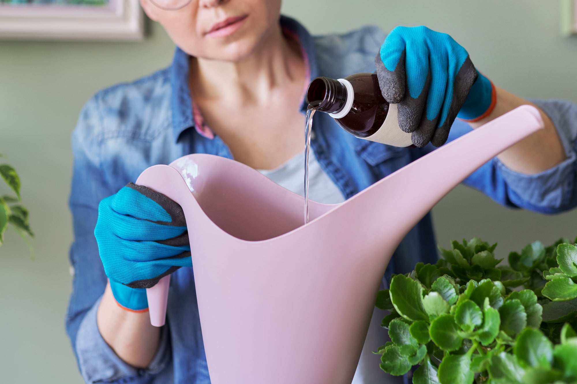 Plant Nutrients