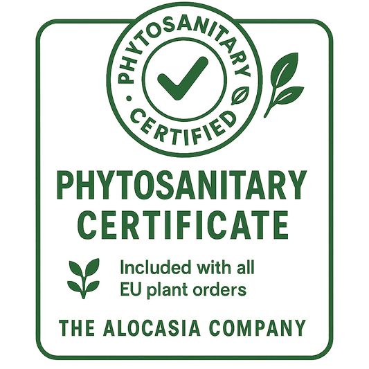 Phytosanitary Certificate