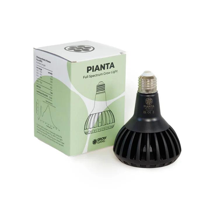 Pianta LED grow light bulb, an energy-efficient bulb using Samsung horticultural technology