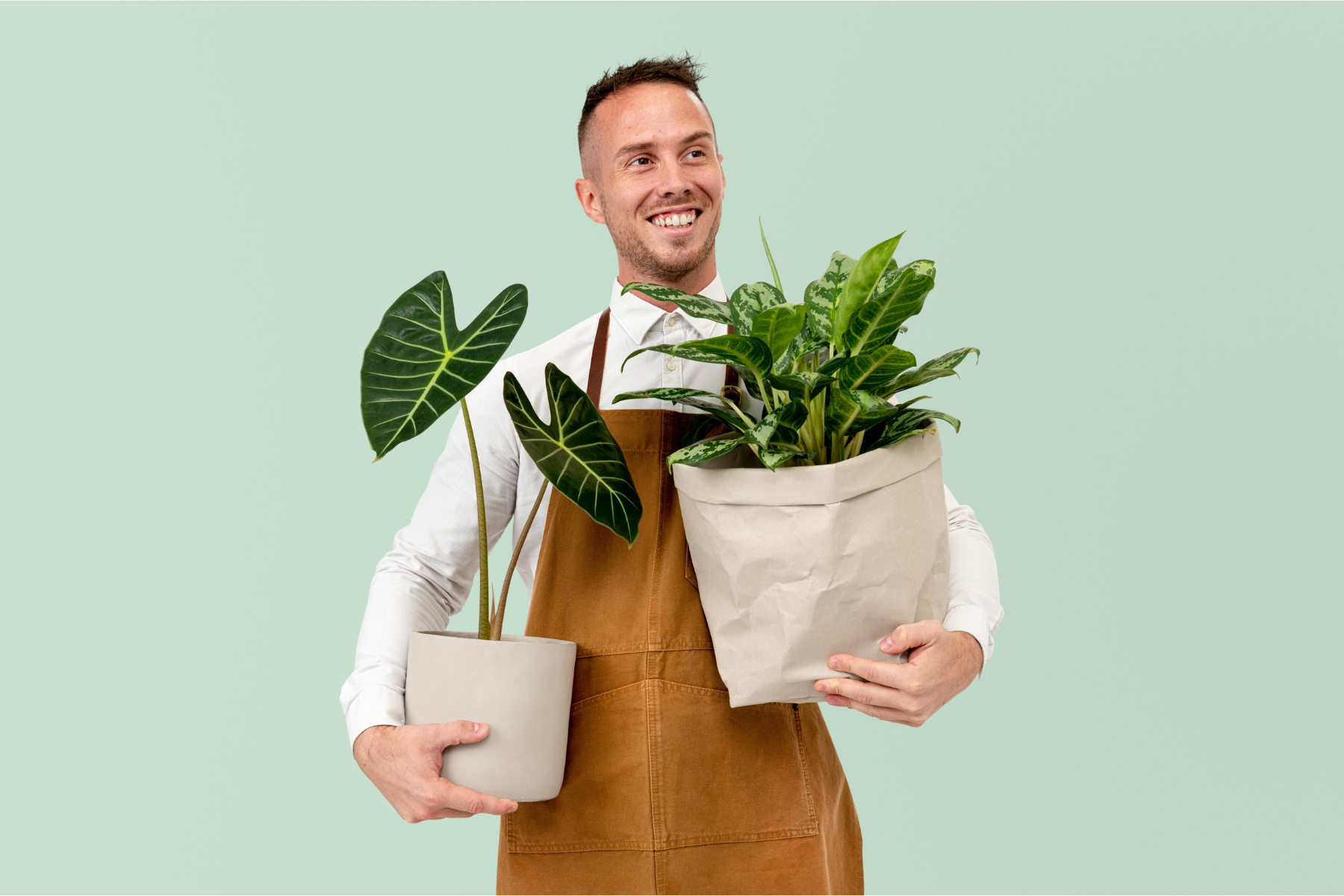 Plant Pots & Grow Essentials The Alocasia Company