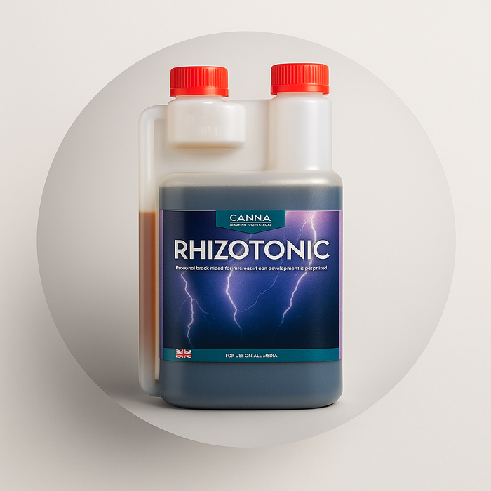 Canna Rhizotonic