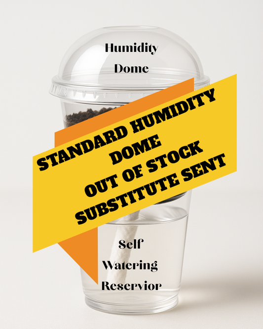 Self Watering Corm Pots With Humidity Dome