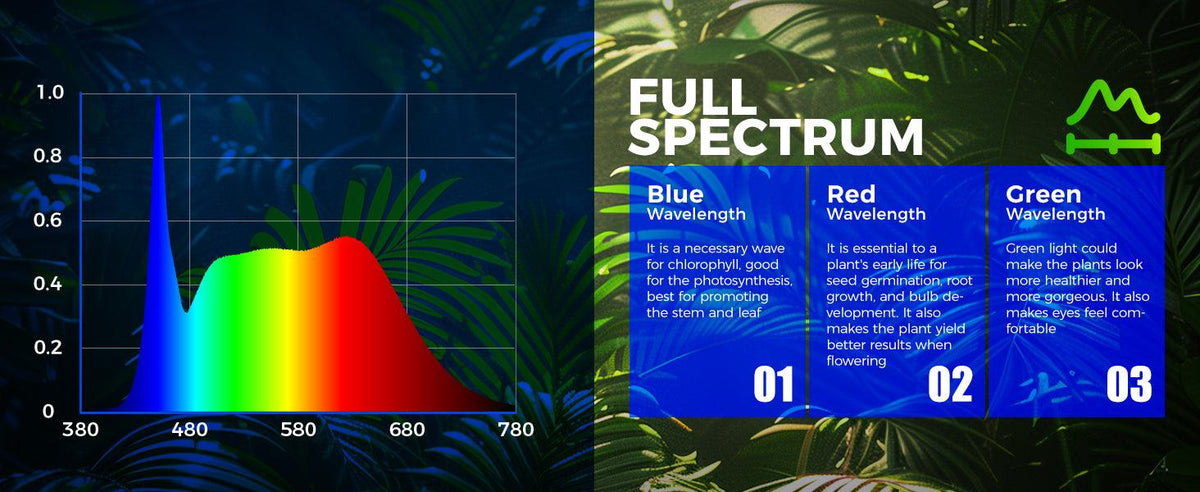 Barrina T5 Magnetic LED Grow Light 5000K, a set of four linkable full-spectrum LED strip bars