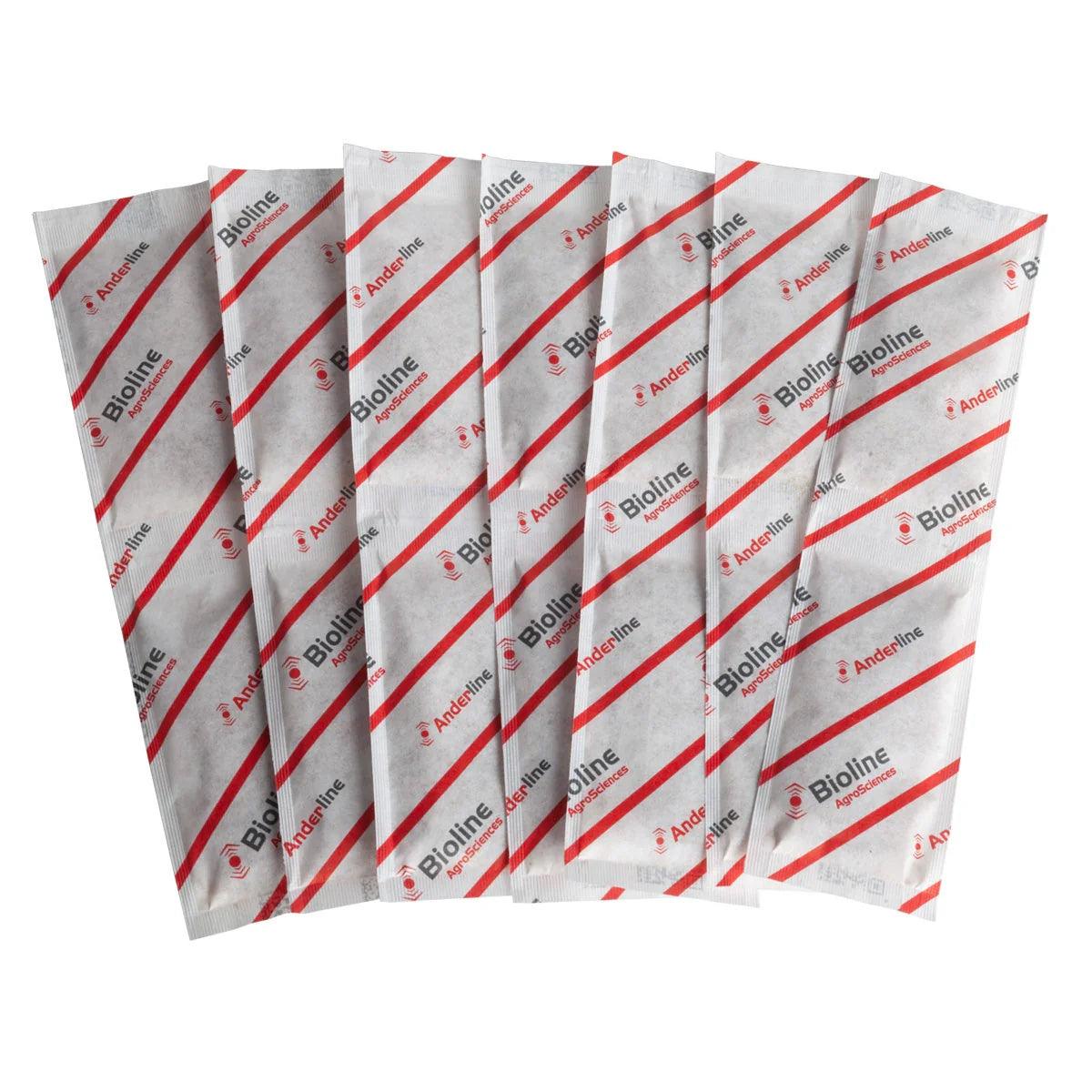 Spider Mite Predators - The Alocasia Company