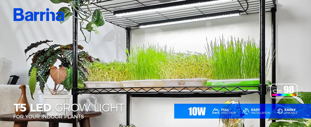 Barrina T5 Magnetic LED Grow Light 5000K, a set of four linkable full-spectrum LED strip bars