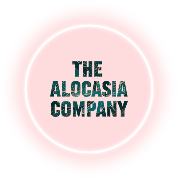 The Alocasia Company