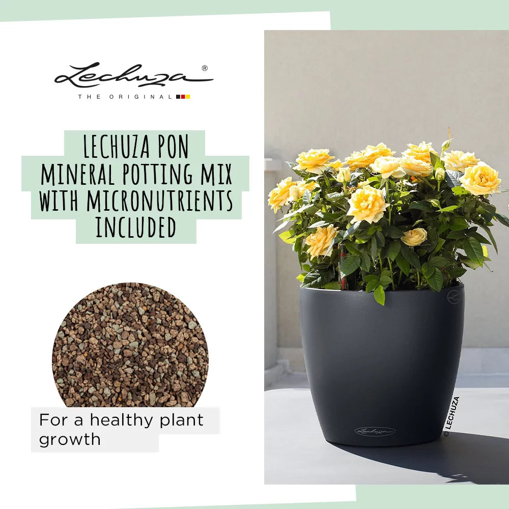 Lechuza Classico Color 12, a 0.9L self-watering planter with a water level indicator