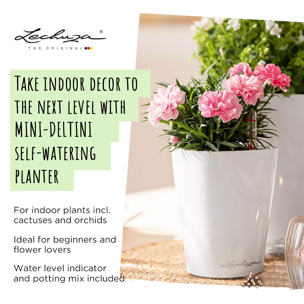 LECHUZA Mini Deltini, a small self-watering planter with water level indicator and 0.4L reservoir