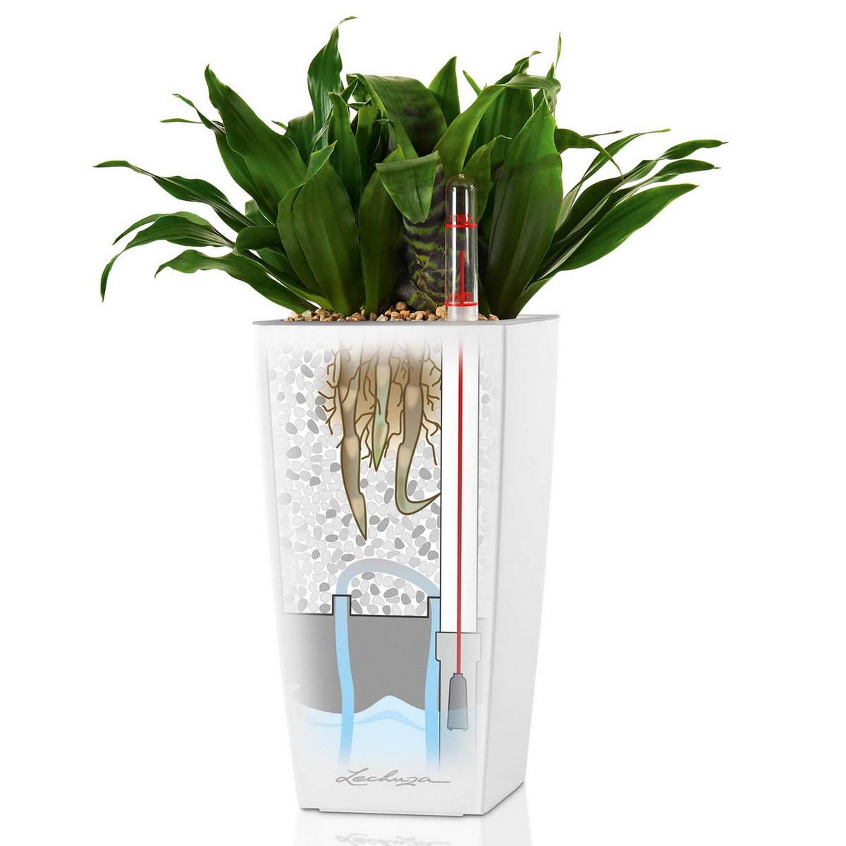LECHUZA Mini Cubi, a compact self-watering planter with water level indicator and 0.8L reservoir
