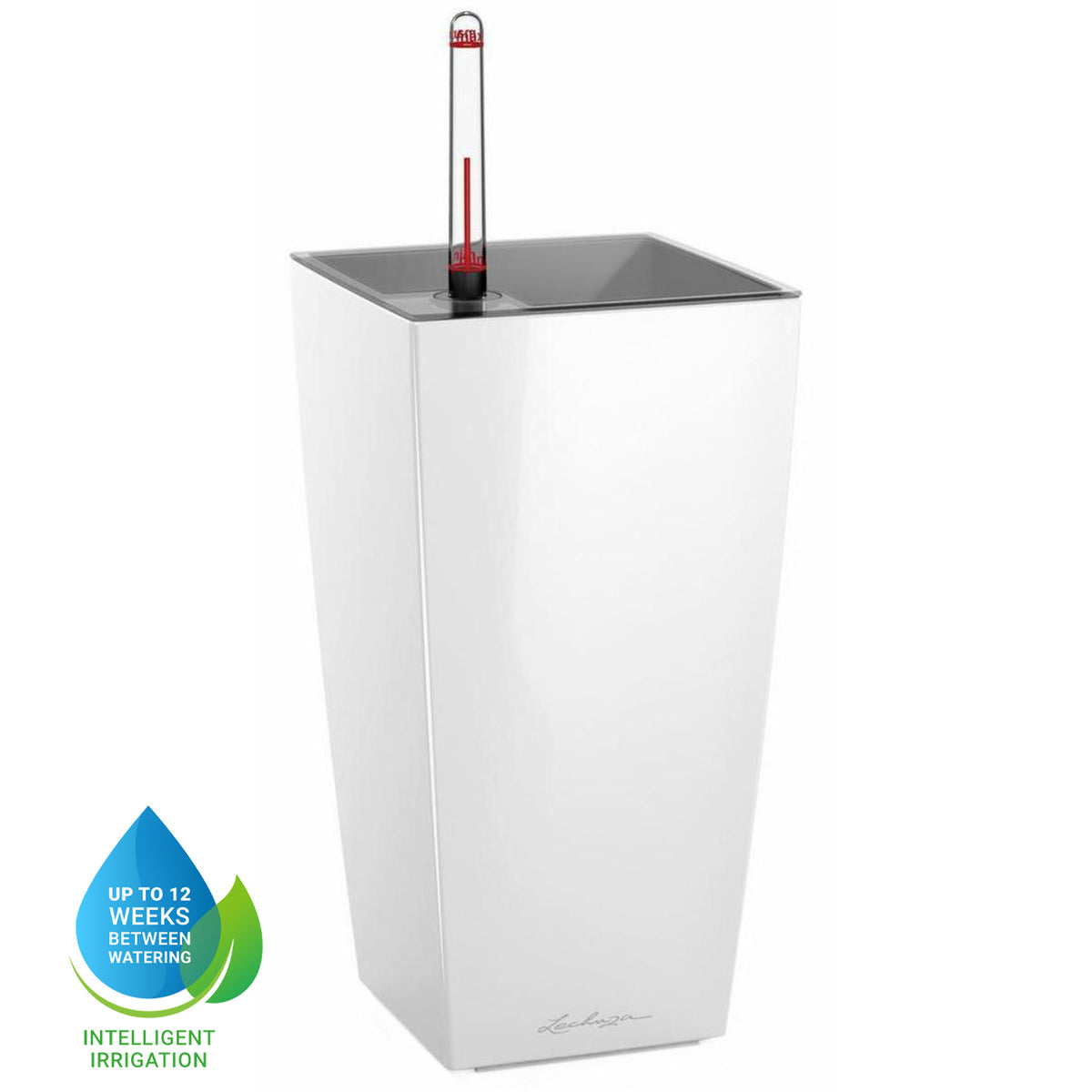 LECHUZA Maxi Cubi, a self-watering planter with water level indicator and 1.5L reservoir