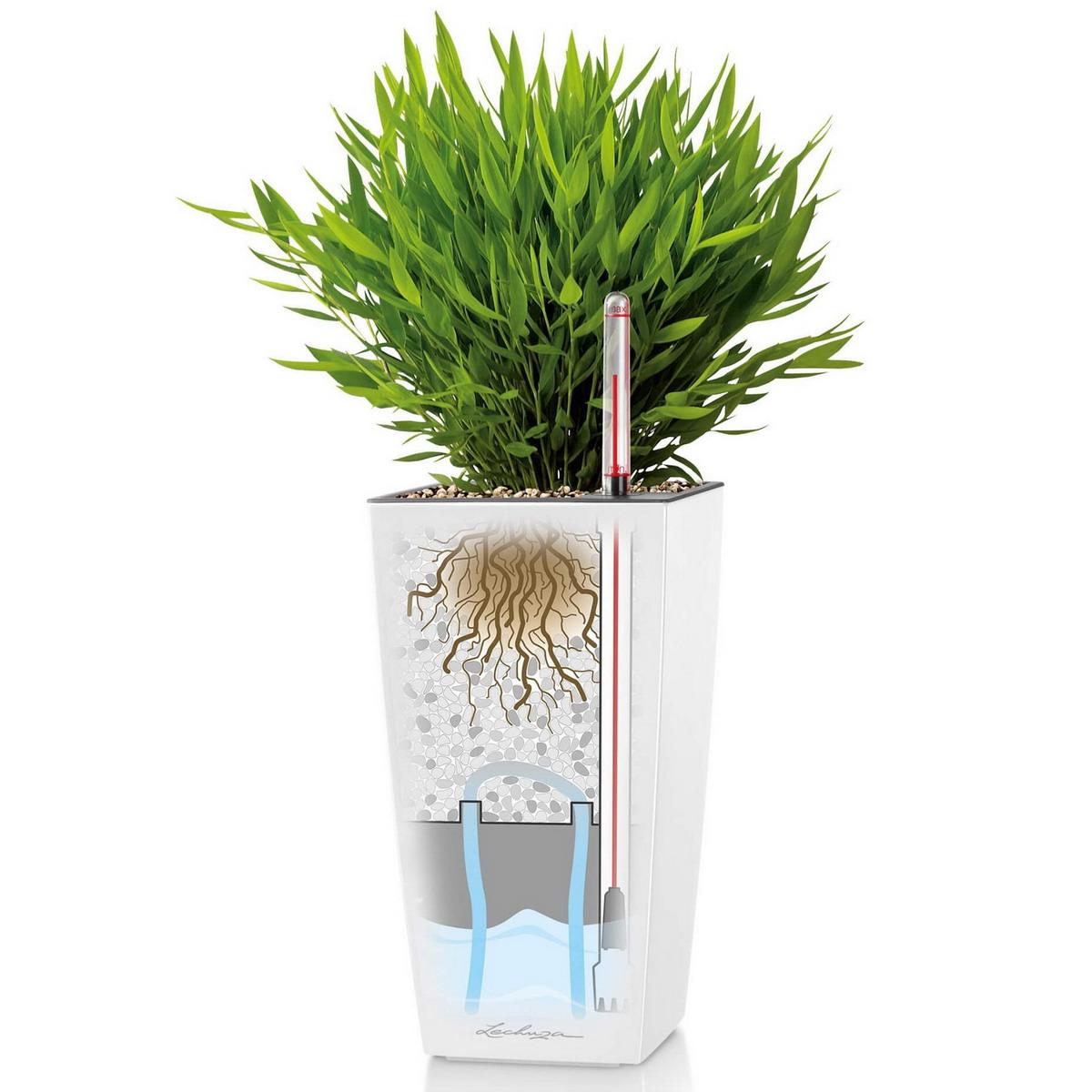 LECHUZA Maxi Cubi, a self-watering planter with water level indicator and 1.5L reservoir