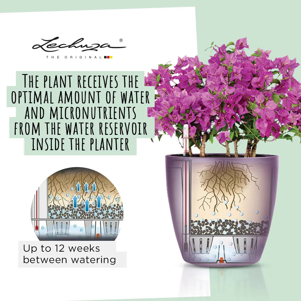 Lechuza Classico Color 12, a 0.9L self-watering planter with a water level indicator