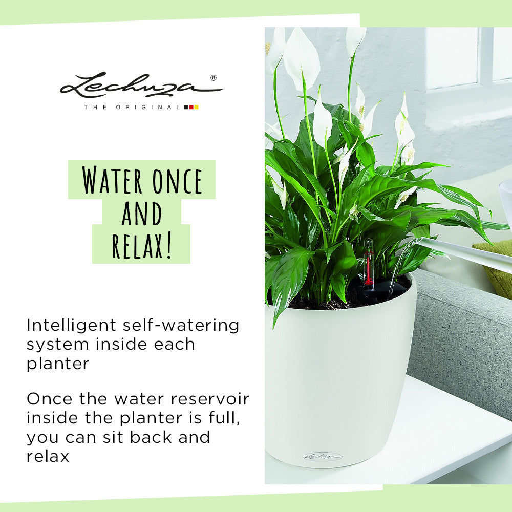 Lechuza Classico Color 18, a 2.5L self-watering planter with a water level indicator