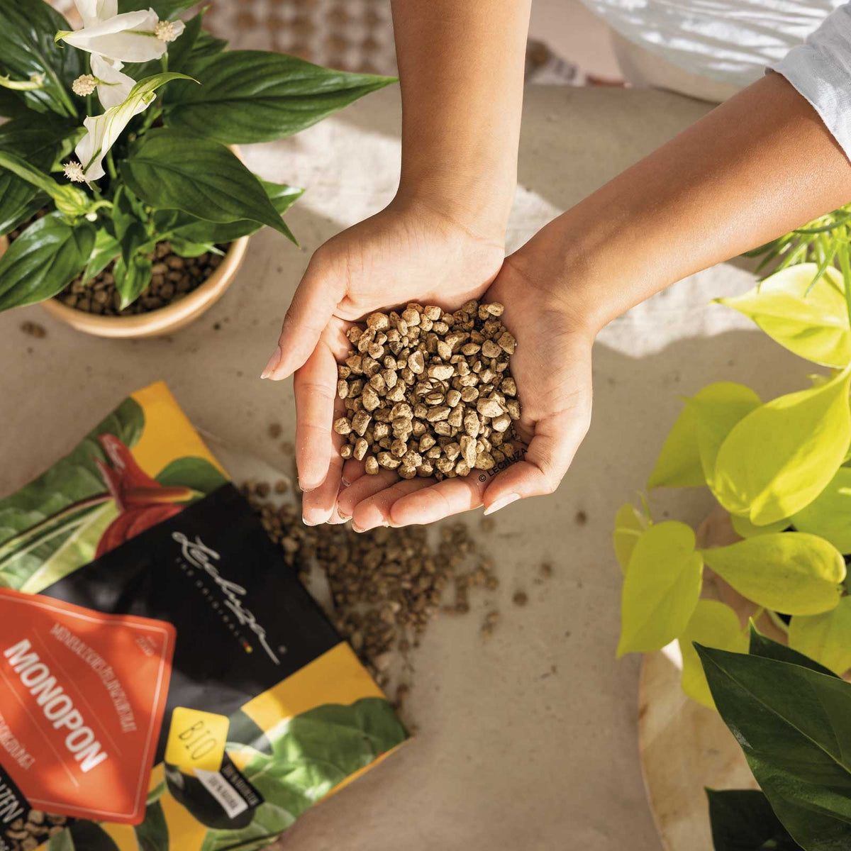 LECHUZA MonoPon, a peat-free mineral substrate made from natural pumice