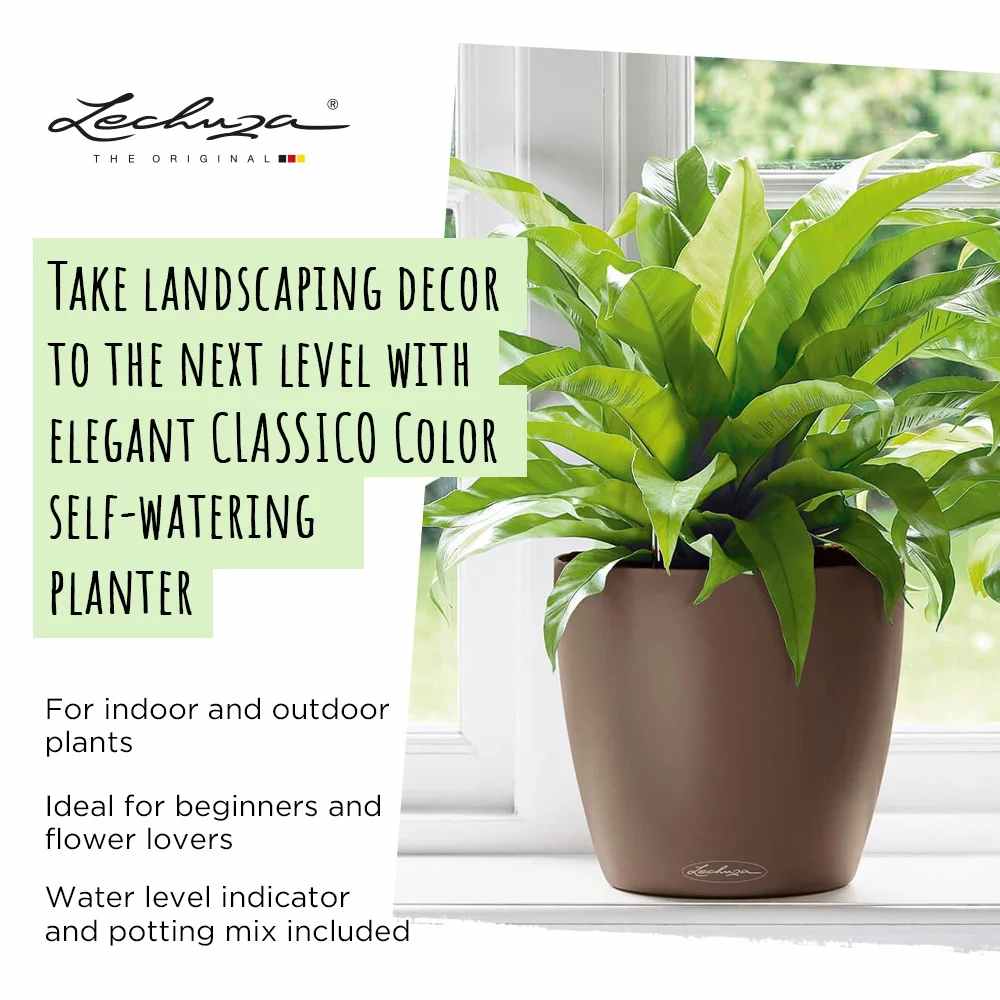 Lechuza Classico Color 12, a 0.9L self-watering planter with a water level indicator