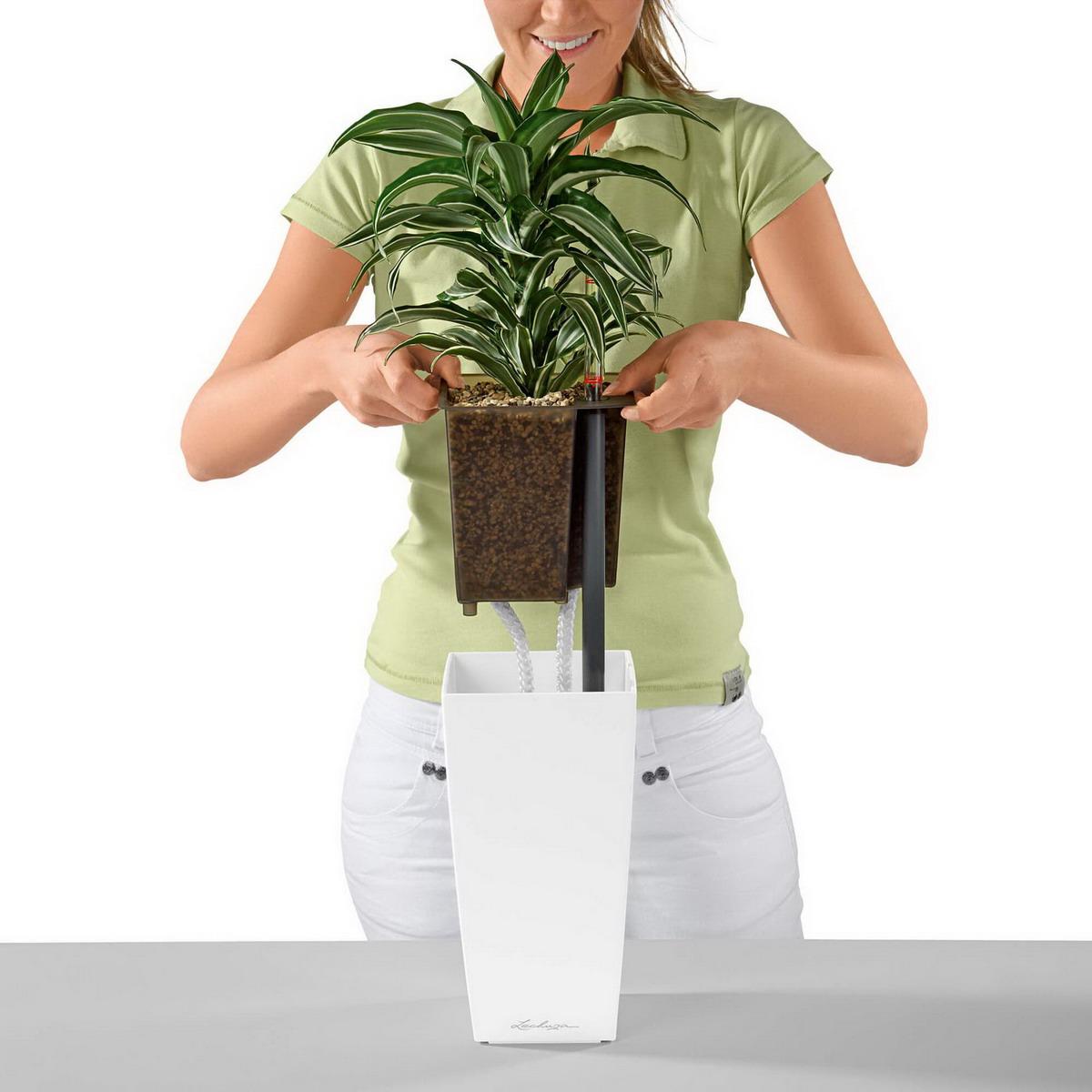 LECHUZA Maxi Cubi, a self-watering planter with water level indicator and 1.5L reservoir