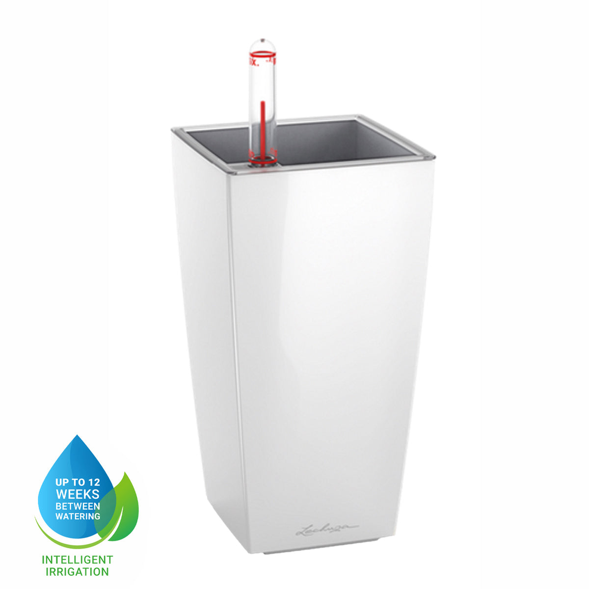 LECHUZA Mini Cubi, a compact self-watering planter with water level indicator and 0.8L reservoir