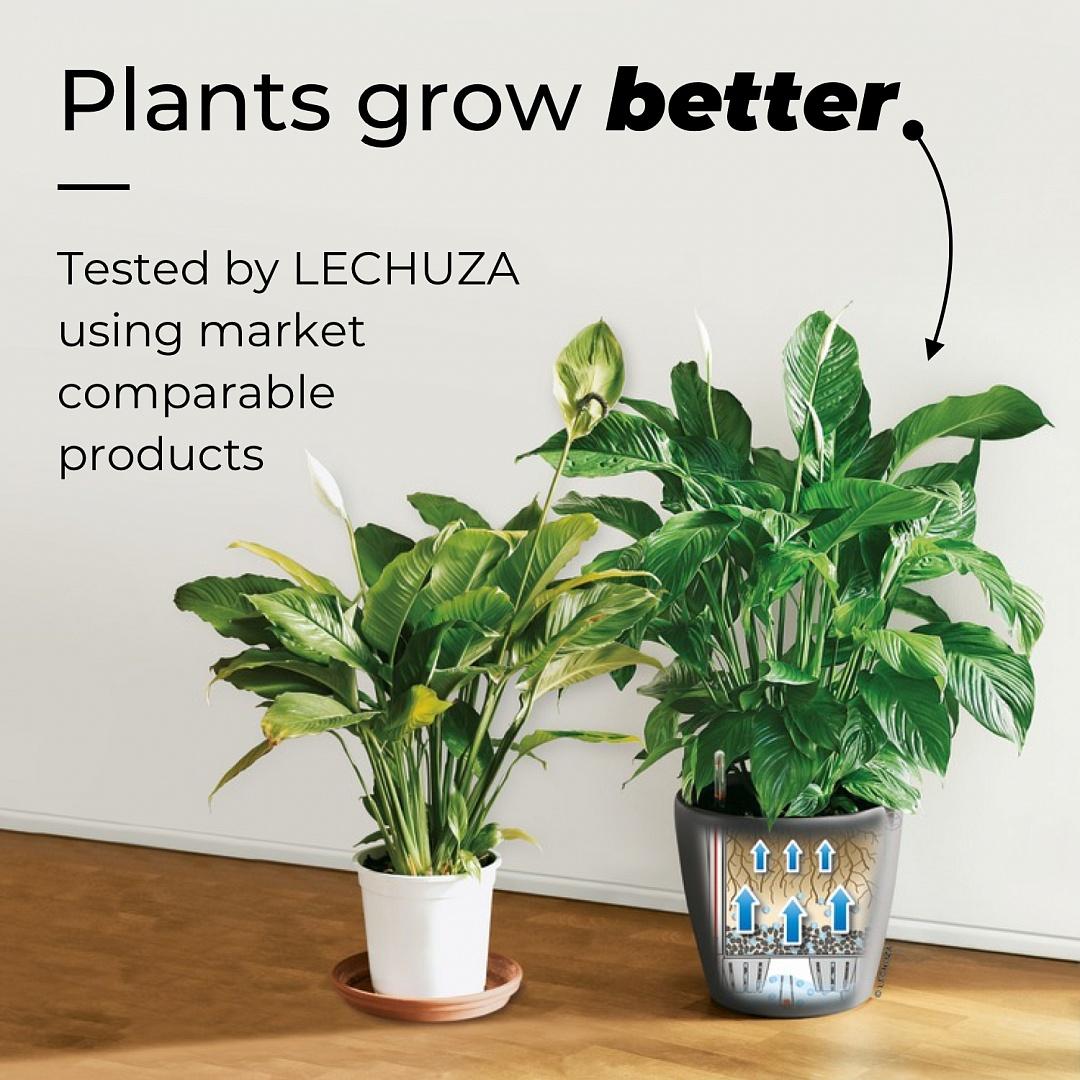 LECHUZA Mini Deltini, a small self-watering planter with water level indicator and 0.4L reservoir